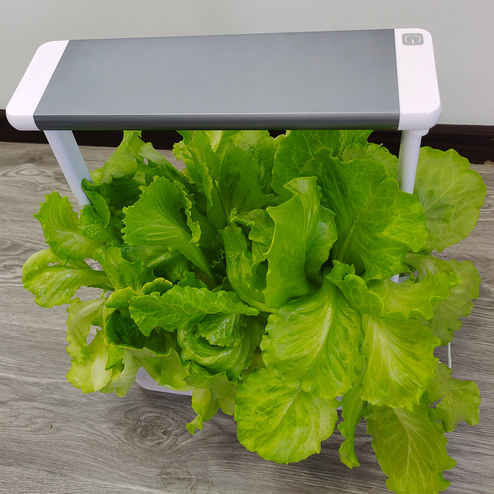 Hydroponics Smart Grow Garden--GX-Hydro-005