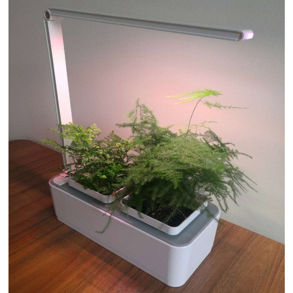 Hydroponics Smart Grow Garden--GX-Hydro-003