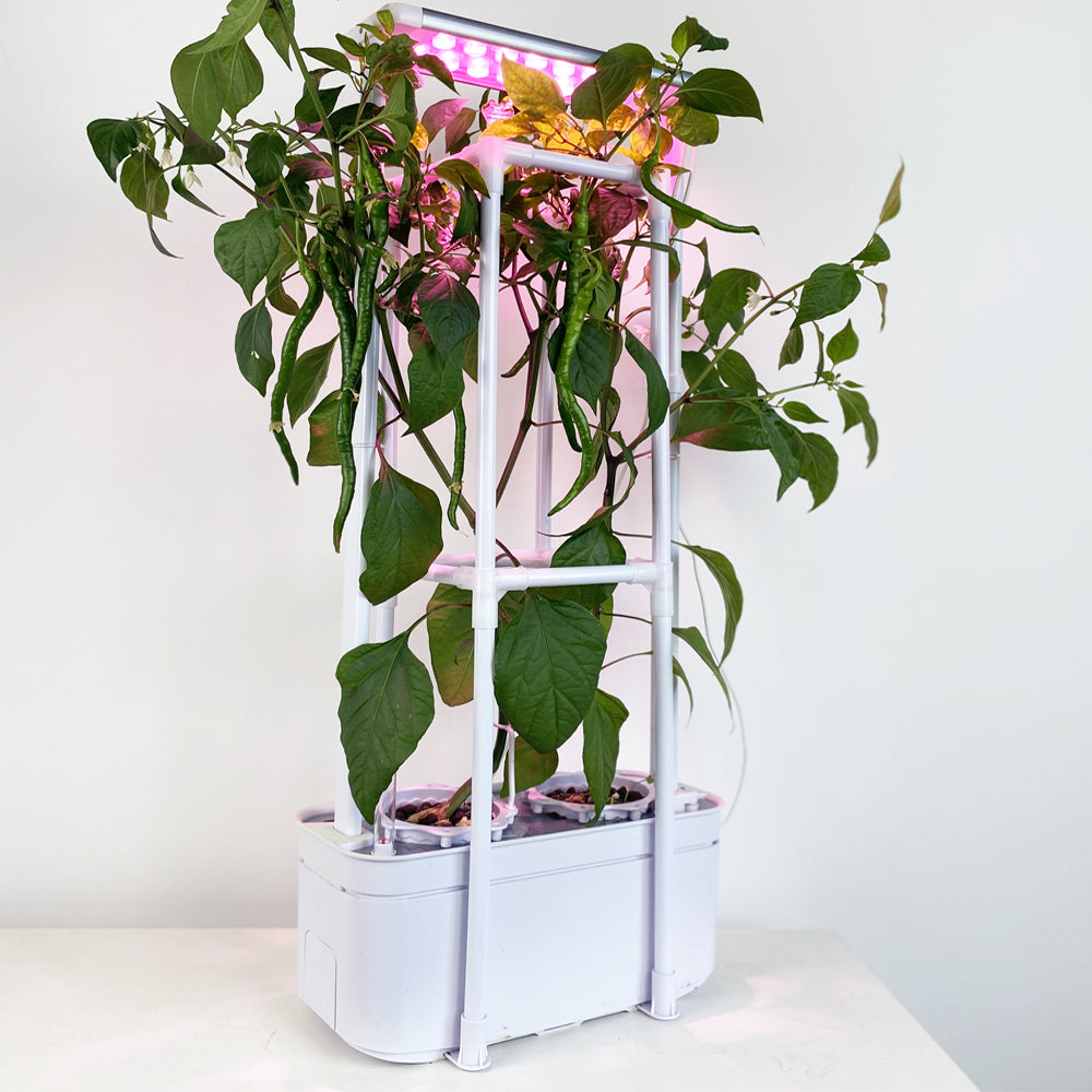 Hydroponics Grow Kits