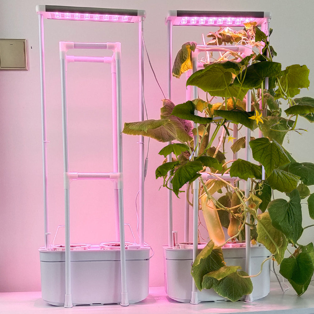 Hydroponics Grow Kits