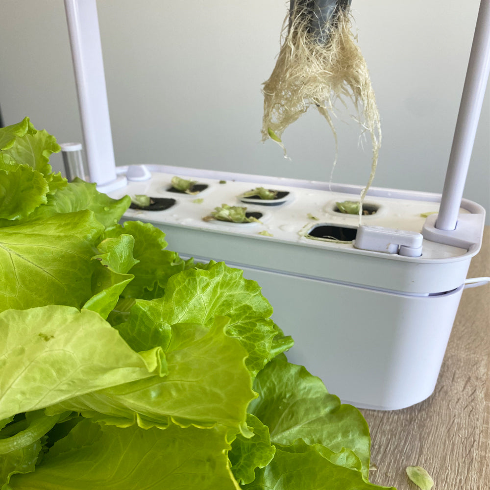 Hydroponics Smart Grow Garden--GX-Hydro-005