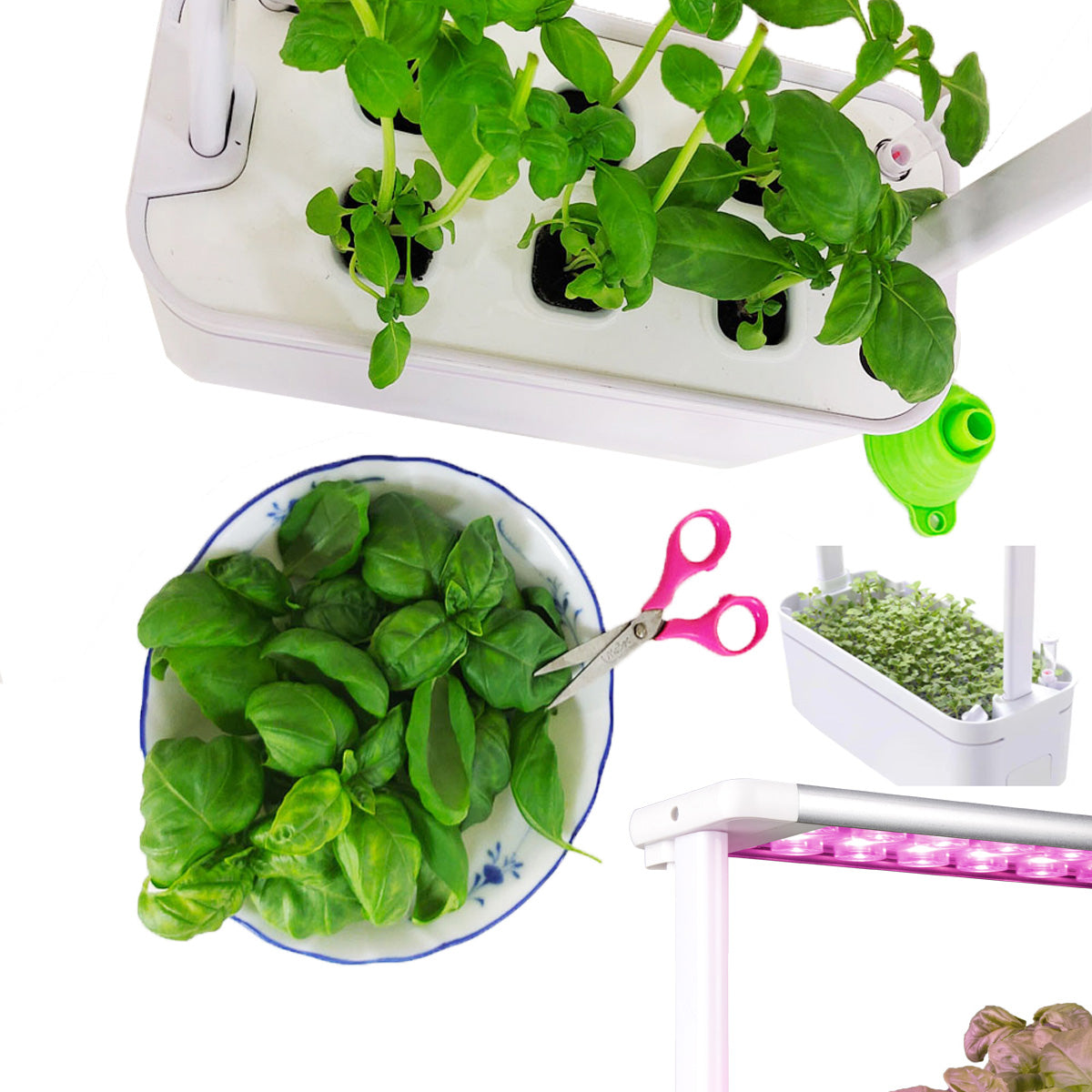 Hydroponics Smart Grow Garden--GX-Hydro-005