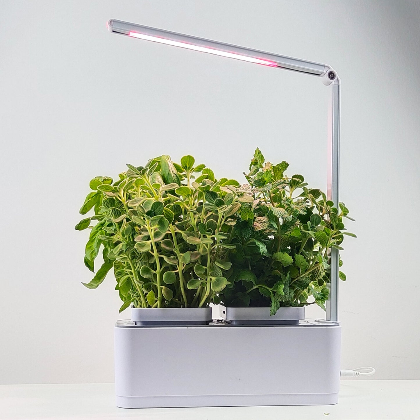 Hydroponics Smart Grow Garden--GX-Hydro-003